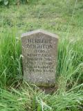 image of grave number 250848